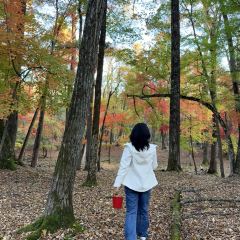 本达人海鲜烧烤(发展店) User Photo