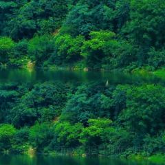 Laotaipo Restaurant (zhaoxia) User Photo