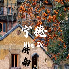 拾光餐集(东壁村店) User Photo