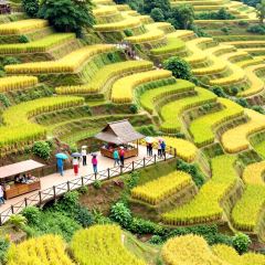 云味餐厅 User Photo