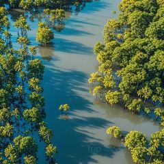 四爹簸箕炊(步行街店) User Photo