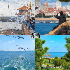 HONGCHI LAOMA SHENGTAI CANTING User Photo