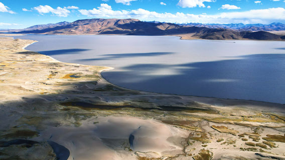 zhong ba xue hu sha mo