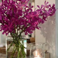 Wanlamun Rim Nam User Photo