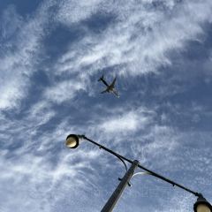 Stone Brewing World Bistro & Gardens – Liberty Station User Photo