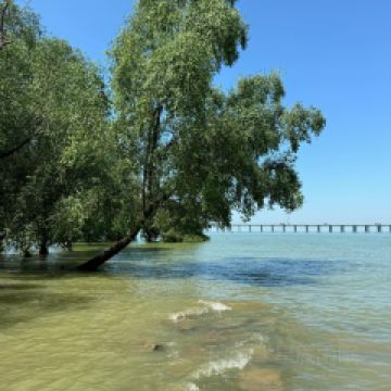 大鍋強·蒸海鮮青島菜（上流滙店）用戶圖片