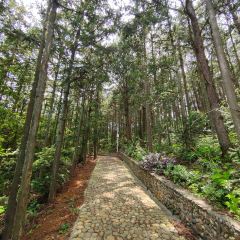 顶三峰餐厅(靖河路店) User Photo