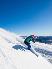 Thredbo ski