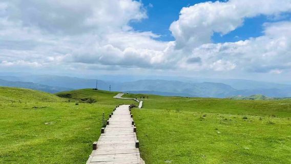 Rainbow Snail RV Campground - Camping Area