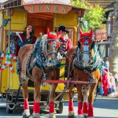 Paula's Pancake House User Photo