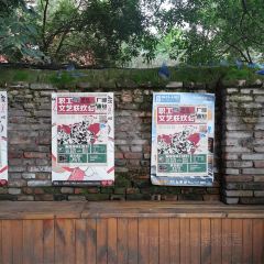 Liquid Workshop User Photo