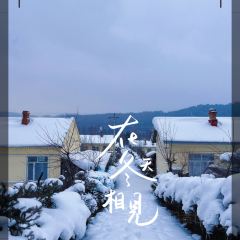 Mu Dan Jiang Xia Wei Yi Guo Ji Da Jiu Dian·Shui Yin Ri Ben Liao Li User Photo