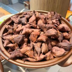 SHAO XING LAO WEI DAO User Photo