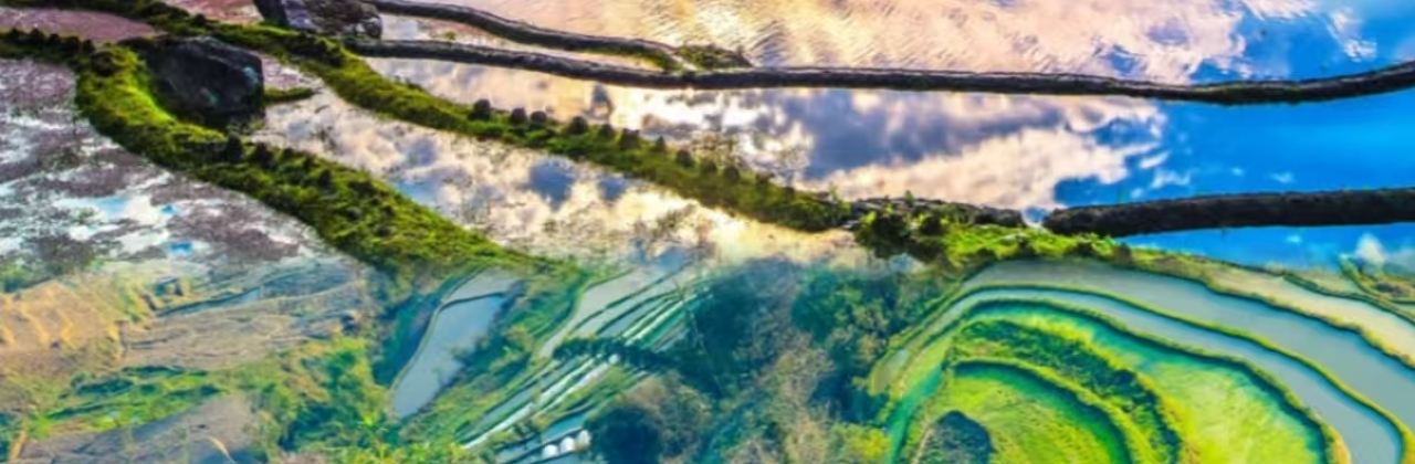 临安饭店(分店)