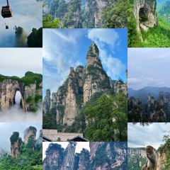 CI LI MI FEN User Photo