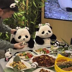 百万卤鹅重庆菜馆·家宴旗舰店(动物园店) User Photo