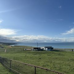 青海湖藏趣部落民宿·特色餐厅 User Photo