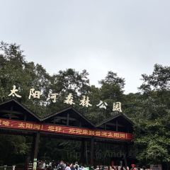 普洱小熊猫庄园·天碧餐厅 User Photo