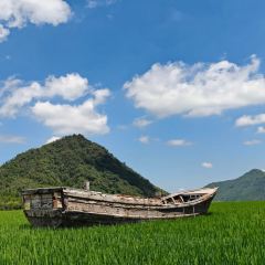 在发呆·lan's浪肆咖啡庄园 User Photo