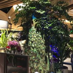 新安人家 User Photo