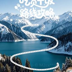 魏家羊羔肉(天山区店) User Photo