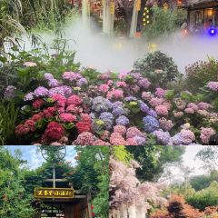 芙蓉裡•小漁村 （金星路店）張用戶圖片