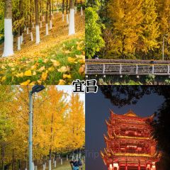 慈妈大排档(福绥路店) User Photo