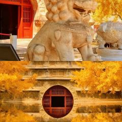 Mr chai Noodle User Photo