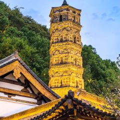 荣村农家乐 User Photo