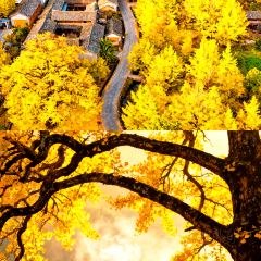 Cun Da Guan User Photo