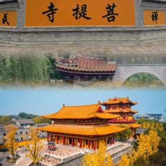 状元楼•台城大运河主题餐厅(古城景区店) User Photo