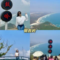 龙华茶园 User Photo