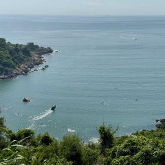 NANAODAO PUNCH IN JUICE ICE COMPANY User Photo