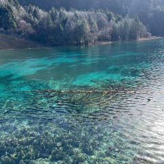 人民食堂土菜馆 User Photo