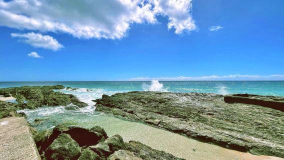 Snapper Rocks