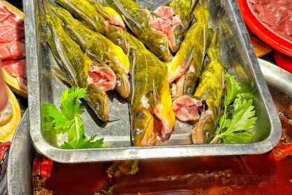 笑禅土豆腐梭边鱼(五里店)