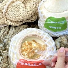 椰锋六年二班椰子冻(巽寮湾店) User Photo