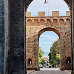 il pomodorino張用戶圖片