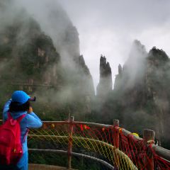 莽山天台山美食 User Photo