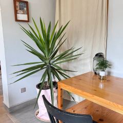 乃屋coffee User Photo