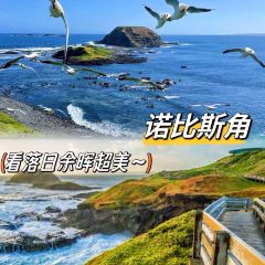 SkyHigh Mount Dandenong User Photo