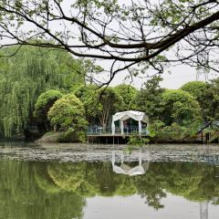 Kunshan Bacheng Dadiao Leisure Farm User Photo
