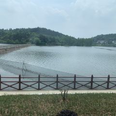 桂庭院农家乐 User Photo