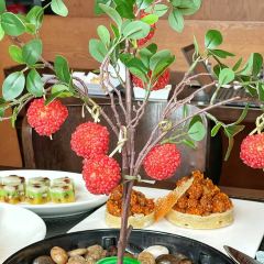 長春凱悅飯店·品悅中餐廳張用戶圖片