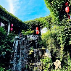 顺昌仁寿灌蛋(七宝老街店) User Photo