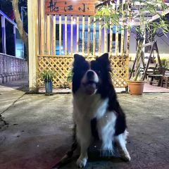 Longxiangdaolongjiangxiaoyuan User Photo