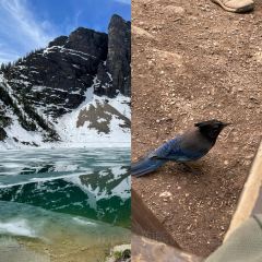 Lake Agnes Tea House User Photo