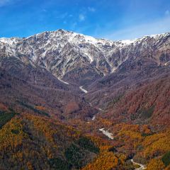 Hakuba Mountain Harbor- The City Bakery張用戶圖片