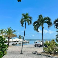 Nikki Beach Miami ảnh của người dùng