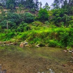 龙湖印象 User Photo